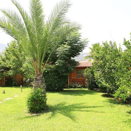 Tunays Pansiyon Cirali Exterior foto