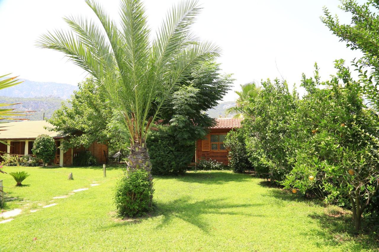 Tunays Pansiyon Cirali Exterior foto
